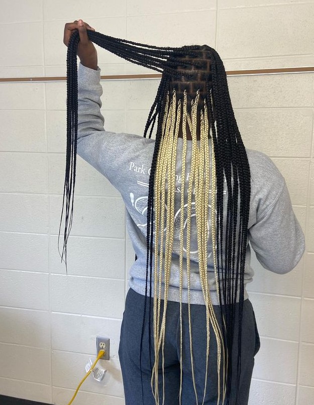 blonde peekaboo braids