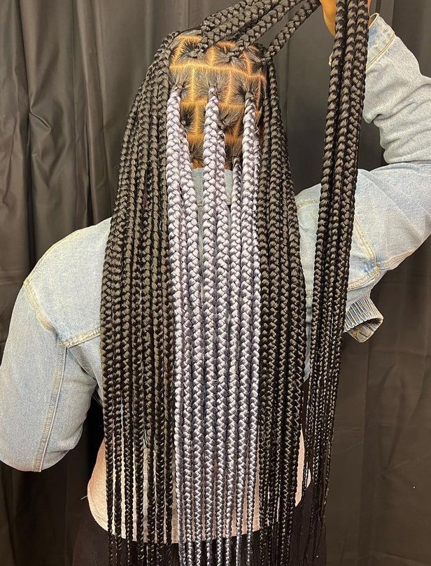 grey peekaboo braids