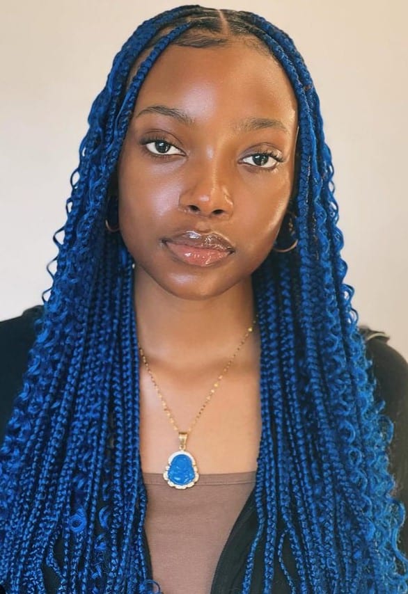 colored Island Twist Braids