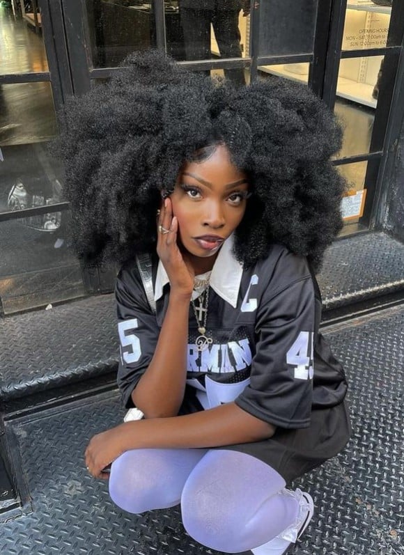 A lady with an afro hairstyle - the best natural Hairstyles 